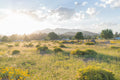 Flagstaff Arizona mountain sunset fine art photograph